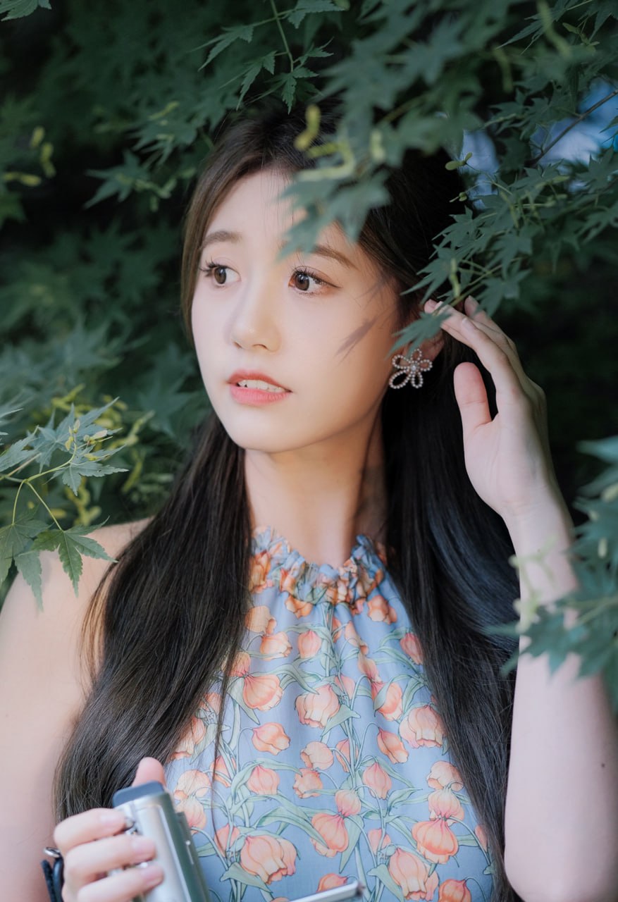 明明如月，何时可掇 明明如月,何时可掇翻译